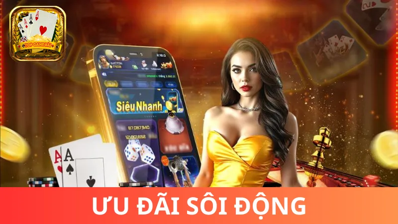 Chương trình code, khuyến mãi được áp dụng tại Vip79
