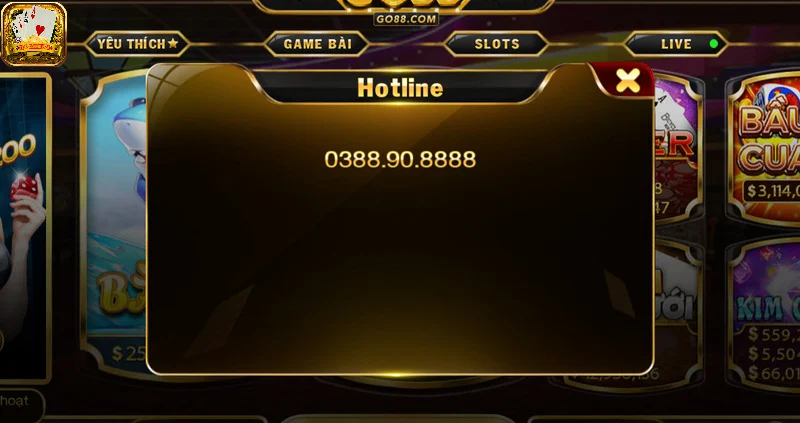 Liên hệ CSKH để được giải quyết khi nhập code lỗi