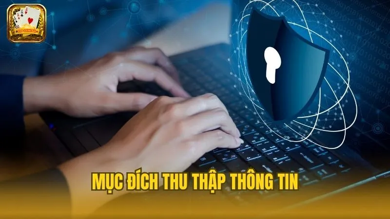 Thu nhập thông tin để mang đến những trải nghiệm chơi tốt nhất