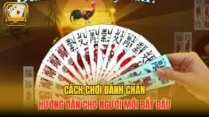 Hướng Dẫn Cách Chơi Đánh Chắn Chi Tiết Cho Người Mới Bắt Đầu
