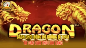 Bật Mí 3+ Cách Chơi Rồng Hổ Không Bị Thua Từ Các Lão Làng