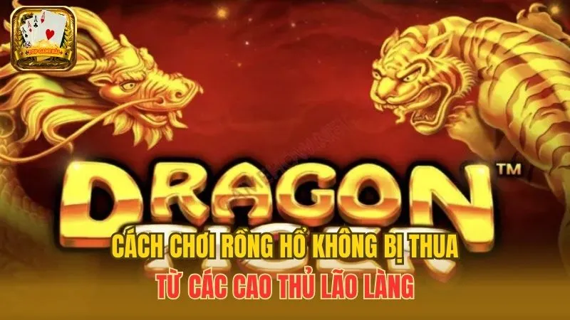 Bật Mí 3+ Cách Chơi Rồng Hổ Không Bị Thua Từ Các Lão Làng
