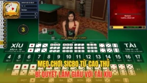 Mẹo Chơi Sicbo Từ Cao Thủ - Bí Quyết Làm Giàu Với Tài Xỉu