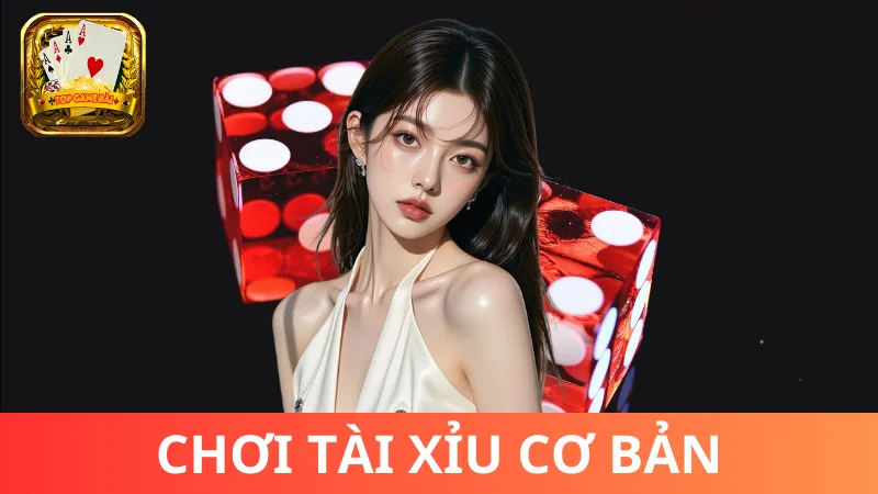 Cách chơi Tài Xỉu cơ bản cần biết