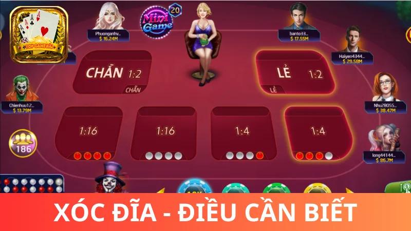 Cách chơi Xóc Đĩa online cơ bản - Hướng dẫn