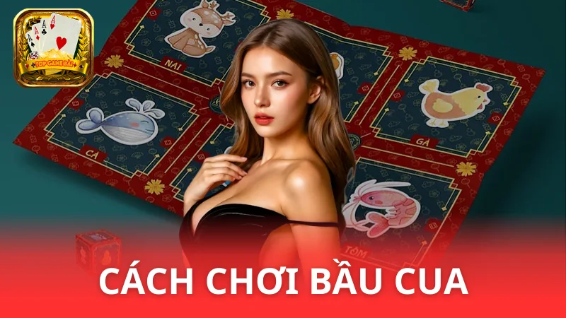 Hướng dẫn cách chơi Bầu Cua - Kinh nghiệm xương máu