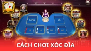 Hướng dẫn cách chơi Xóc Đĩa - Chơi hay với mẹo “chất”