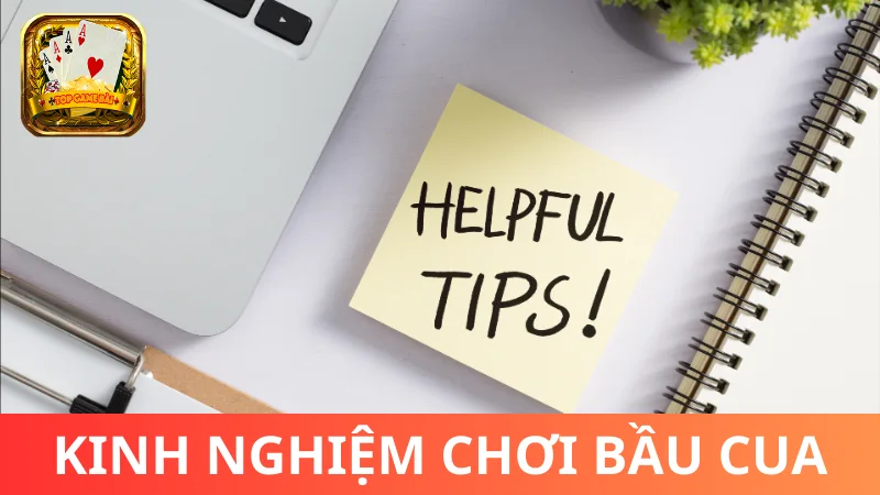 Kinh nghiệm chơi Bầu Cua xương máu cần biết