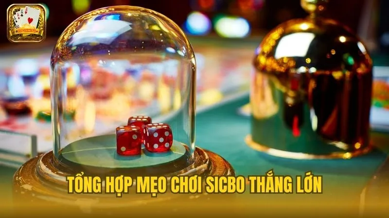 Những mẹo chơi sicbo hiệu quả được nhiều cao thủ áp dụng