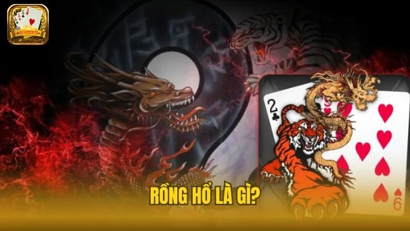 Rồng Hổ là gì